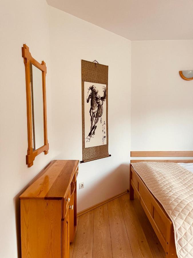 Hill Durmitor Apartment Zabljak  Exterior photo